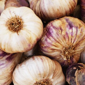 bulb of garlics