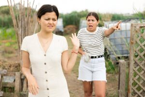 lawyers brisbane